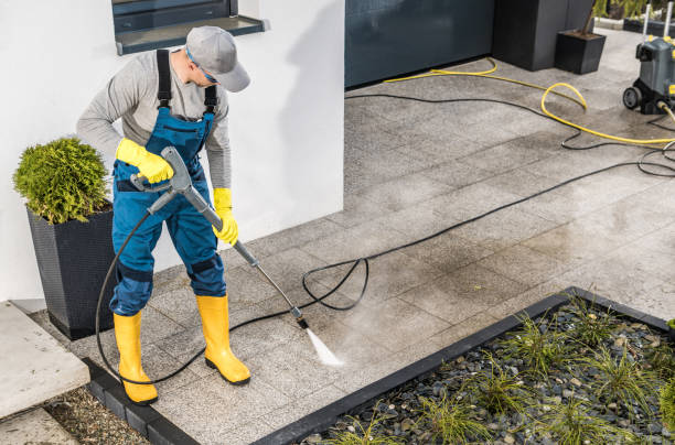 Best Roof Pressure Washing  in Jasper, FL